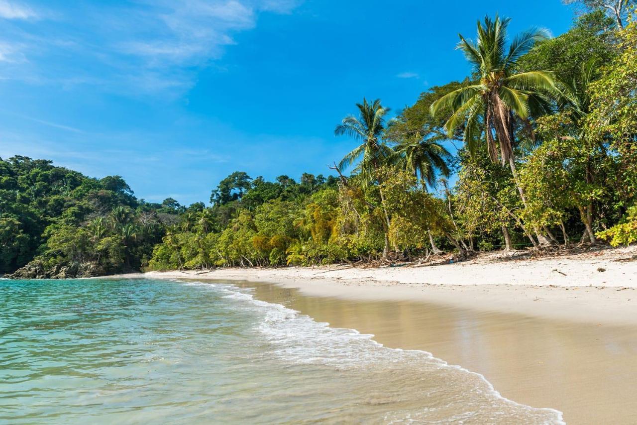 Kikazaru Beautiful Boutique Hotel With Pool (Adults Only) Manuel Antonio Exteriör bild